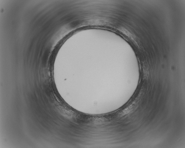 X0000069831070200605221201