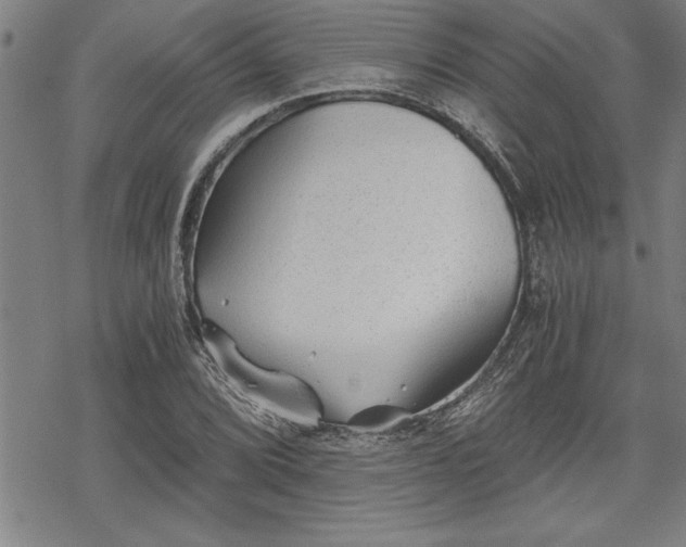 X0000069831072200605221201