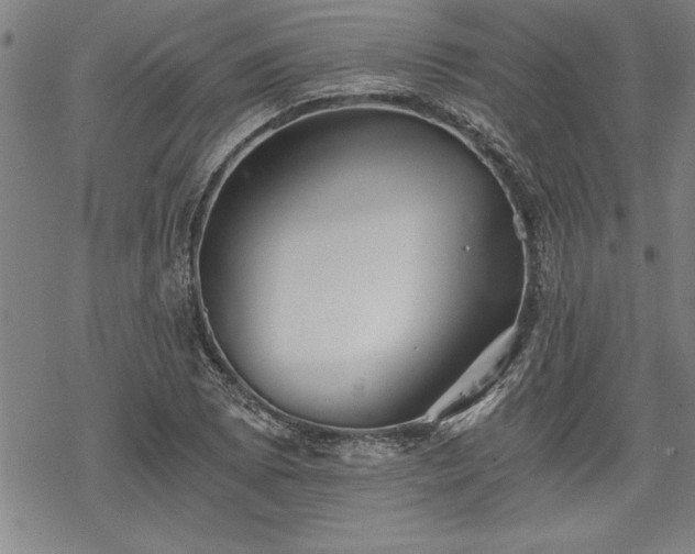 X0000069831073200605221201