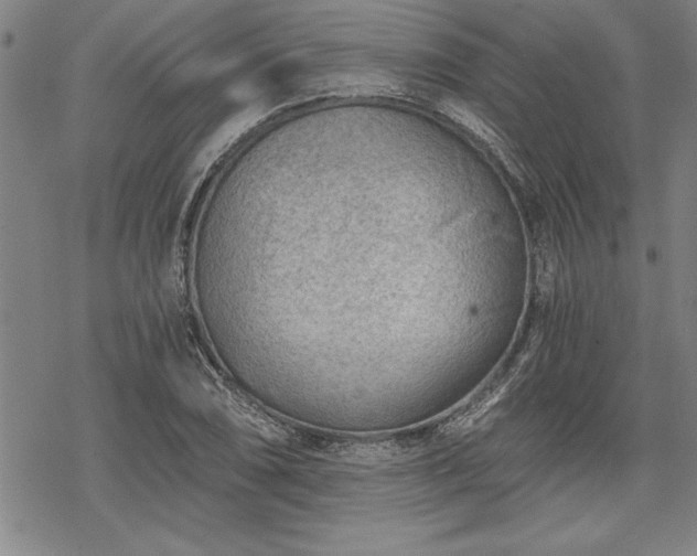 X0000069831074200605221201