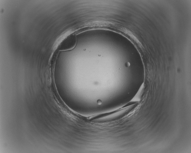 X0000069831075200605221201