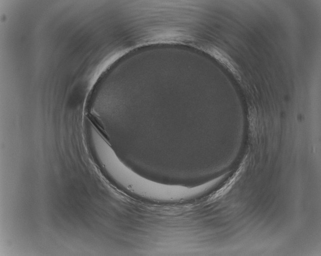 X0000069831077200605221201