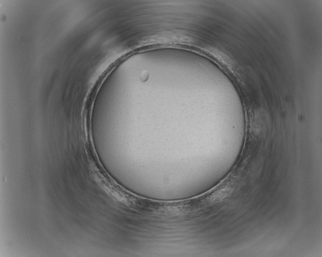 X0000069831078200605221201