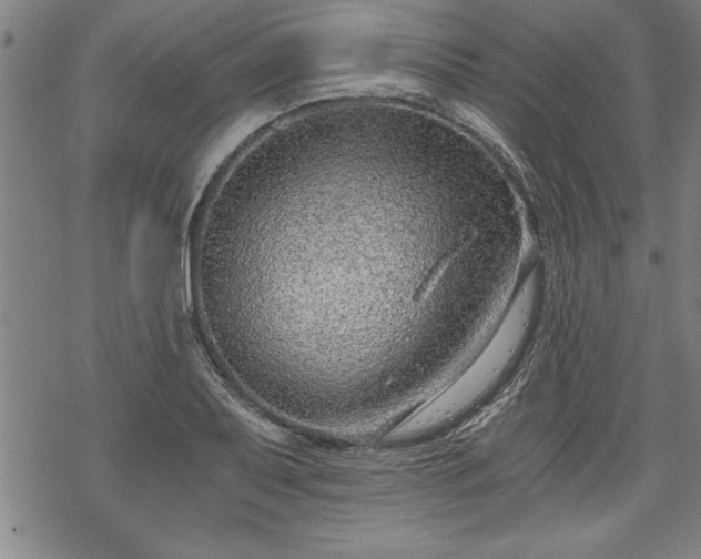 X0000069831079200605221201