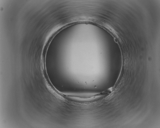 X0000069831080200605221201