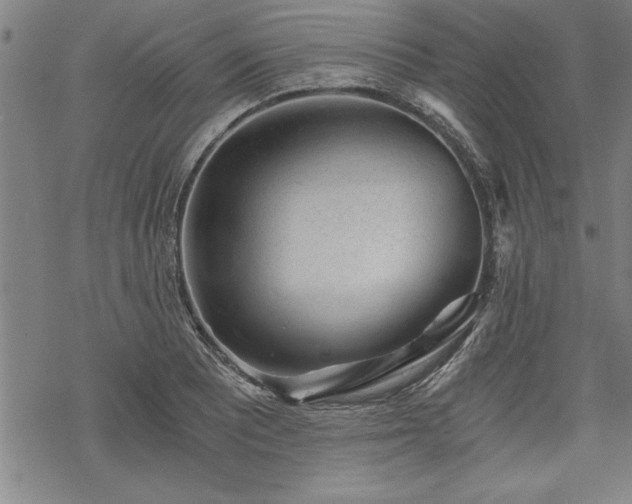 X0000069831081200605221201