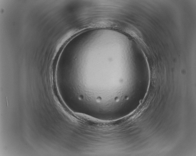 X0000069831083200605221201