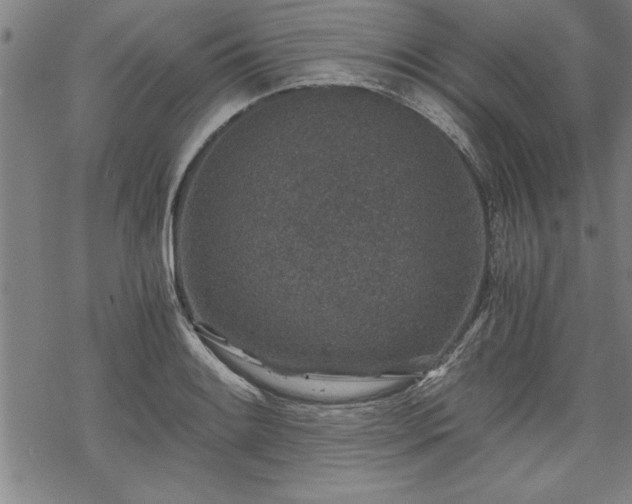 X0000069831084200605221201