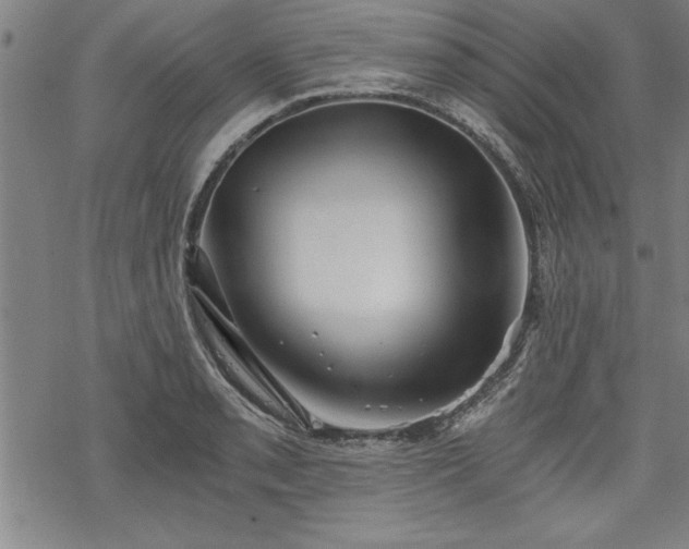 X0000069831085200605221201