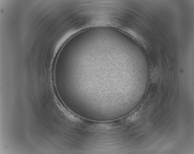 X0000069831086200605221201