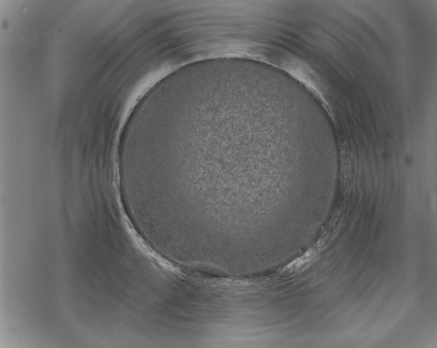 X0000069831088200605221201