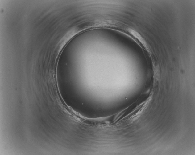 X0000069831089200605221201