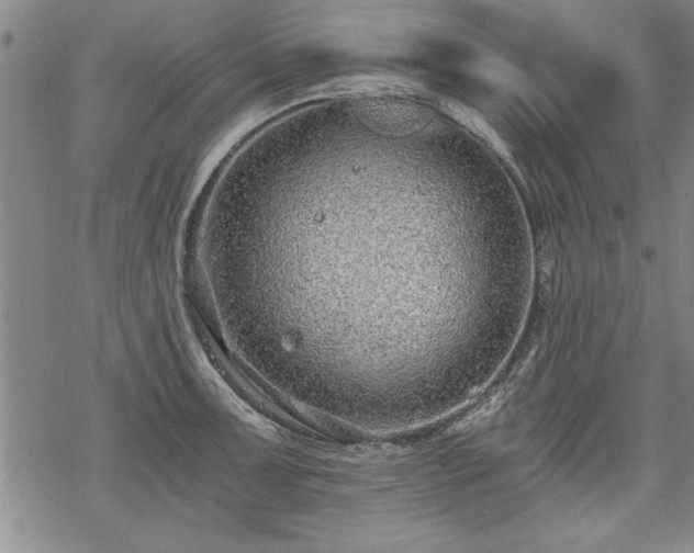 X0000069831091200605221201