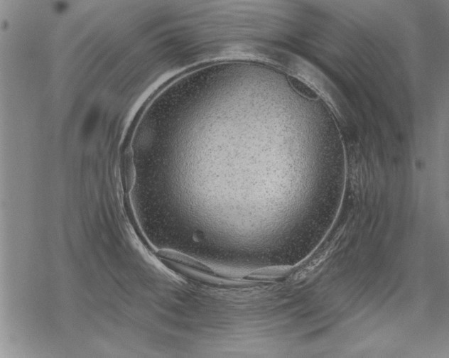 X0000069831092200605221201