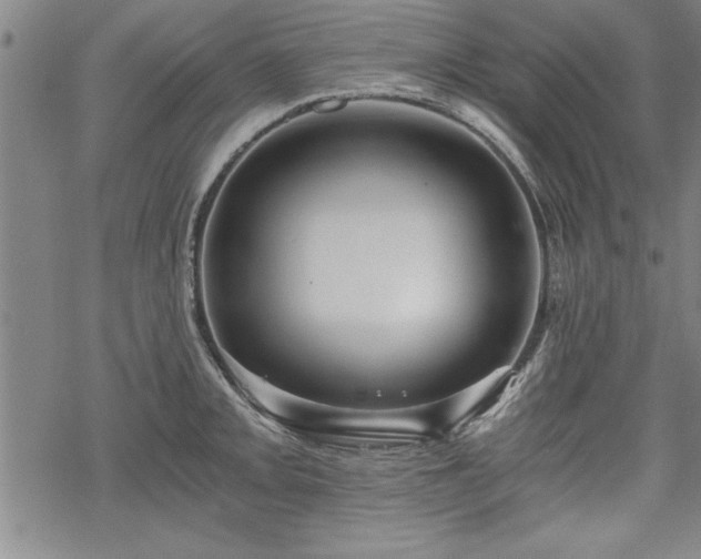 X0000069831093200605221201