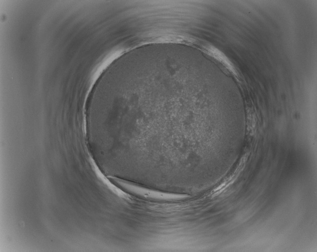 X0000069831095200605221201