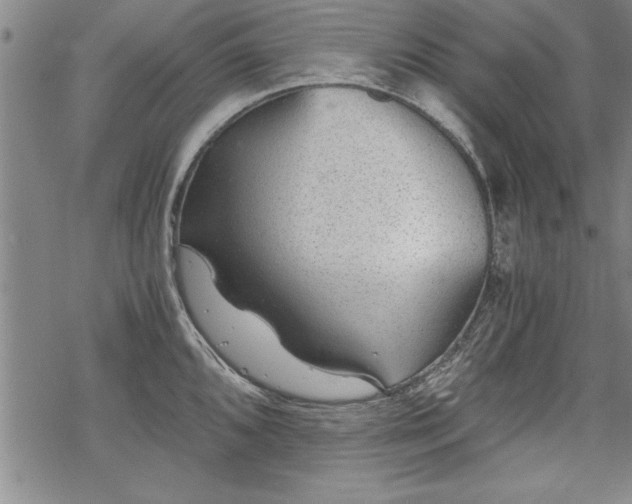 X0000069831096200605221201