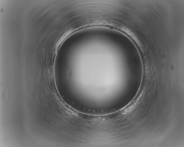 X0000069831097200605221201