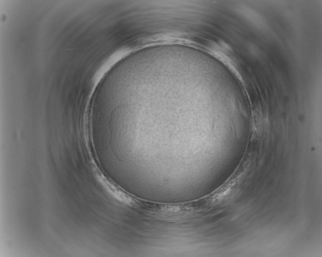 X0000069831098200605221201