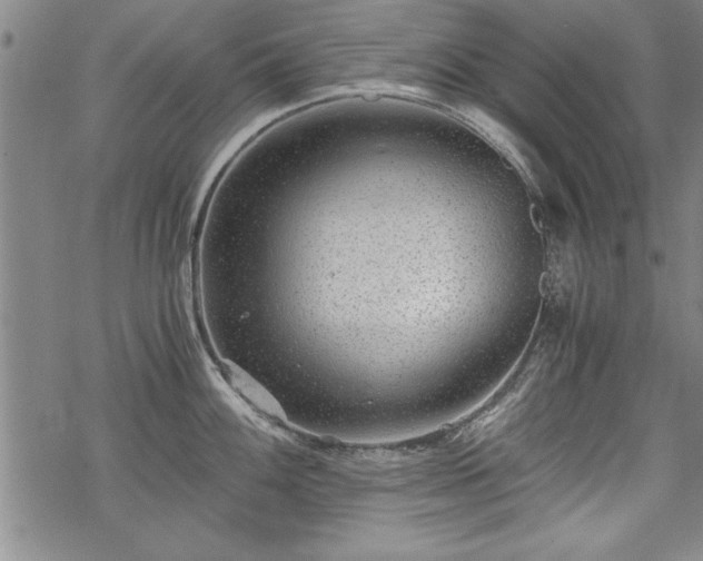 X0000069831100200605221200