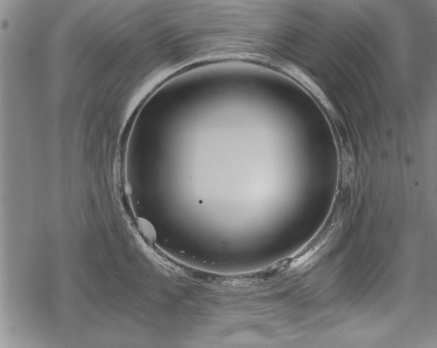 X0000069831101200605221200