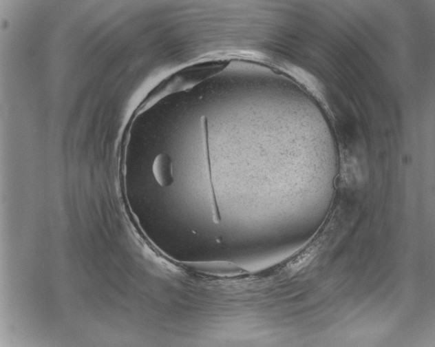 X0000069831102200605221200