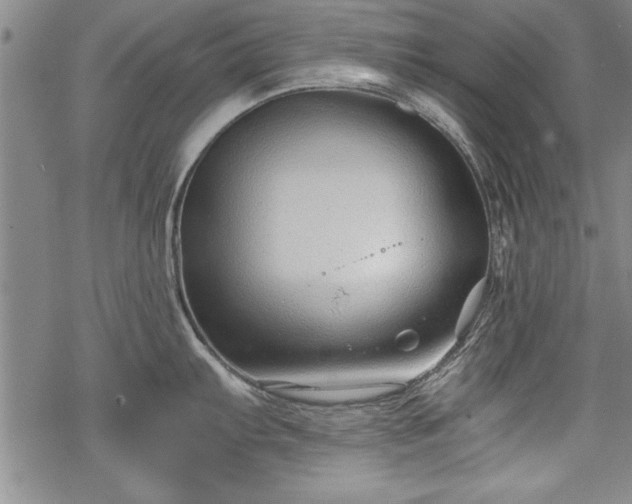 X0000069831103200605221200