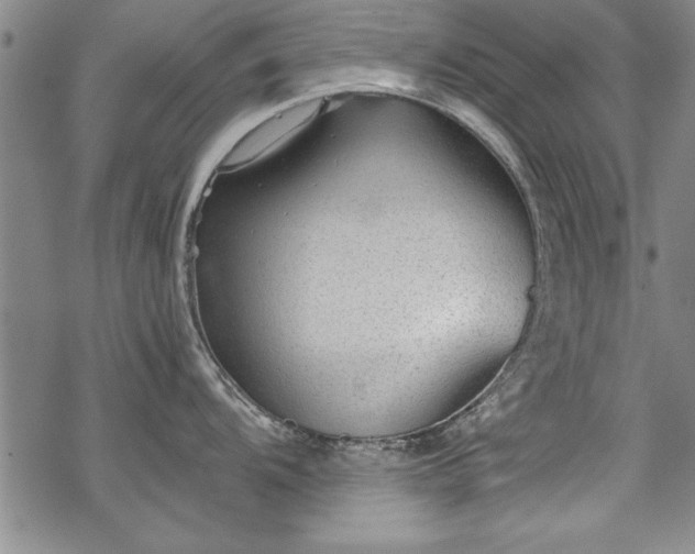 X0000069831104200605221200