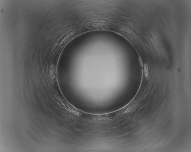 X0000069831107200605221200