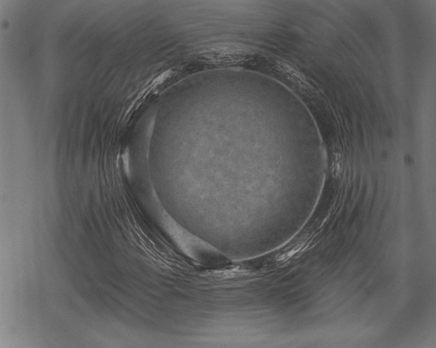 X0000069831108200605221200