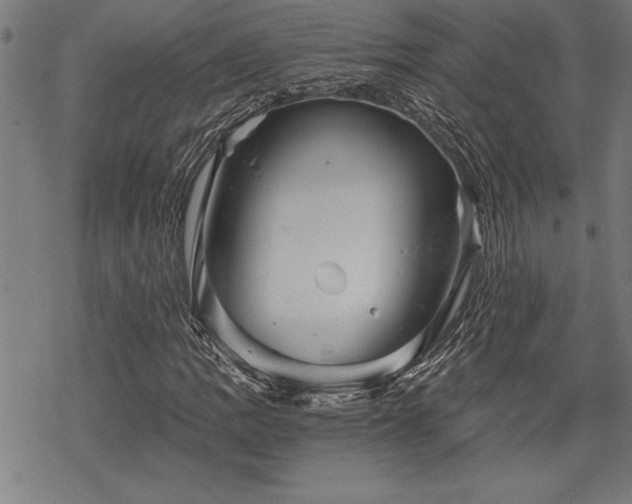 X0000069831109200605221200