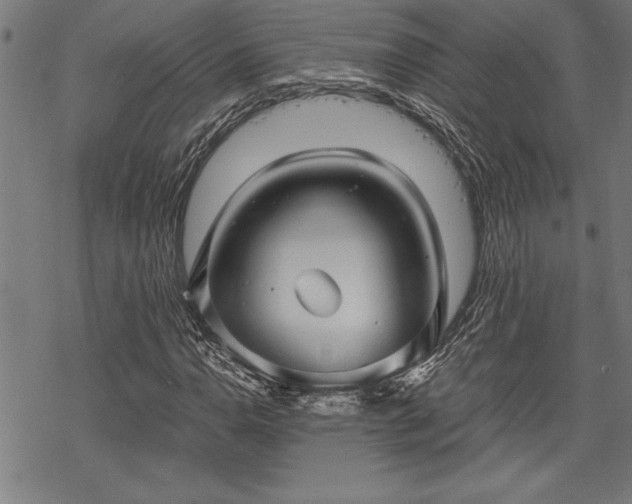 X0000069831110200605221200