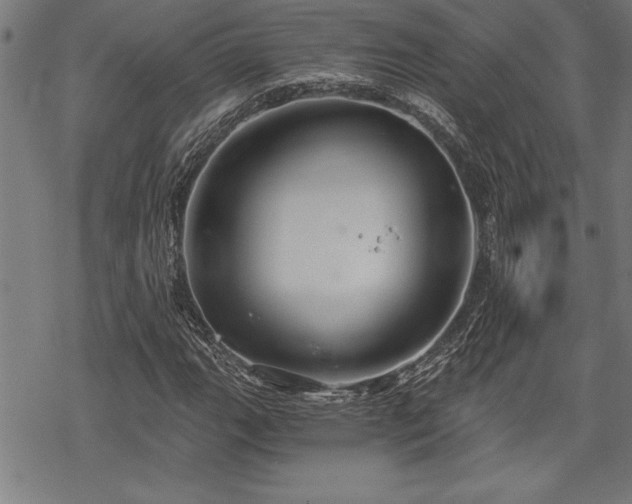 X0000069831111200605221200