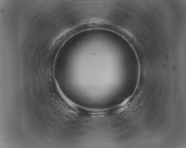 X0000069831112200605221200