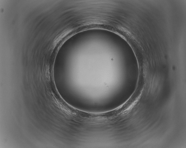 X0000069831113200605221200