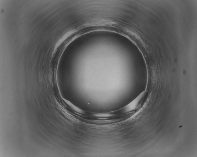 X0000069831114200605221200