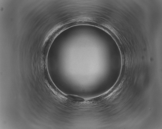 X0000069831115200605221200