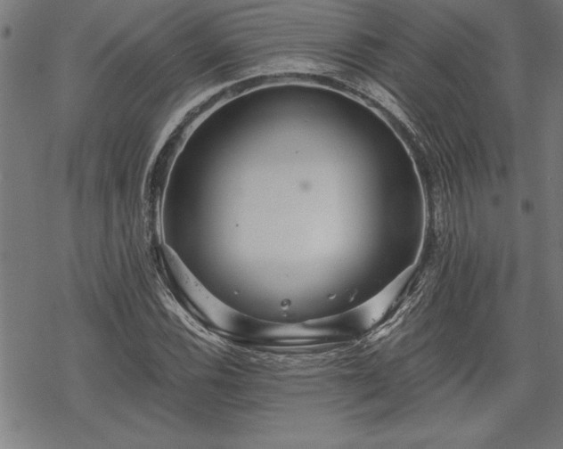 X0000069831116200605221200