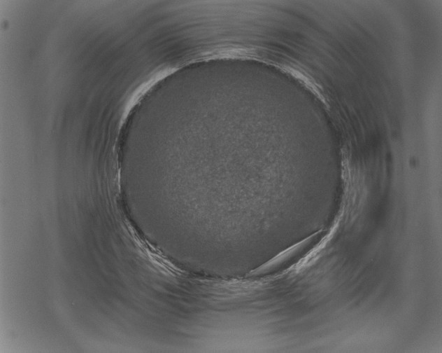 X0000069831117200605221200