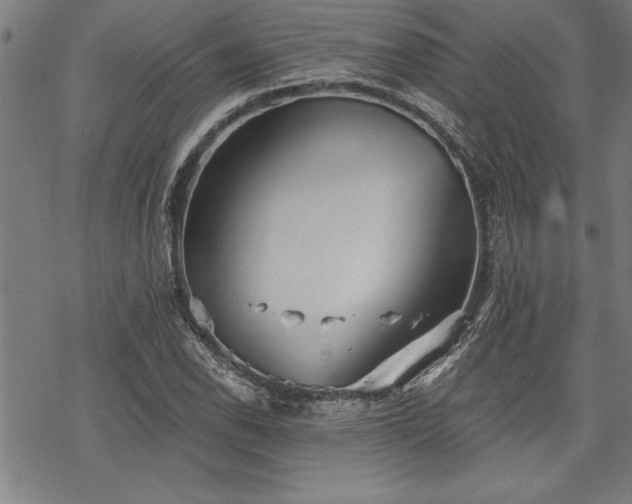 X0000069831118200605221200