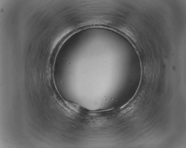 X0000069831119200605221200