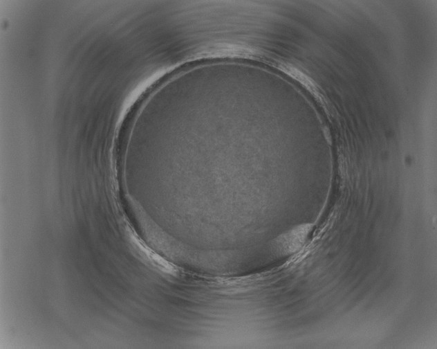 X0000069831120200605221200