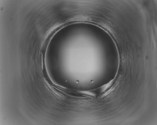 X0000069831123200605221200