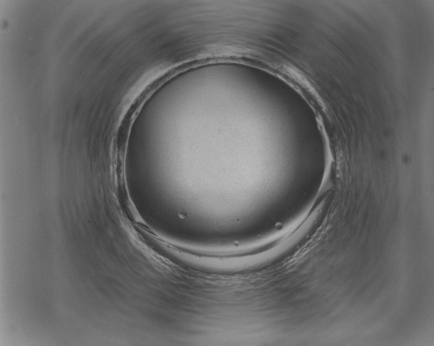 X0000069831124200605221200