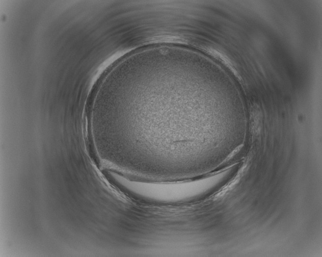 X0000069831125200605221200