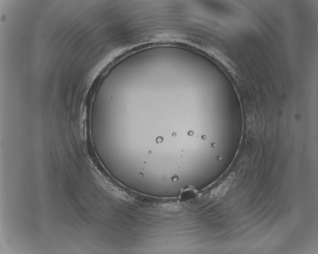 X0000069831126200605221200