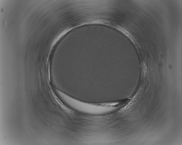 X0000069831127200605221200