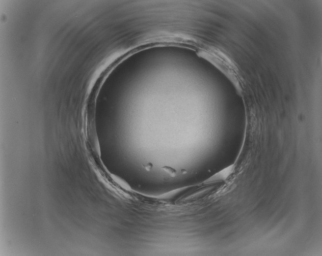 X0000069831128200605221200