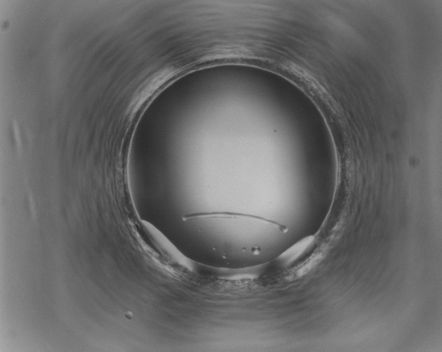 X0000069831129200605221200