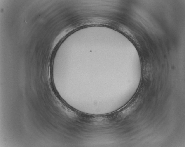 X0000069831130200605221200